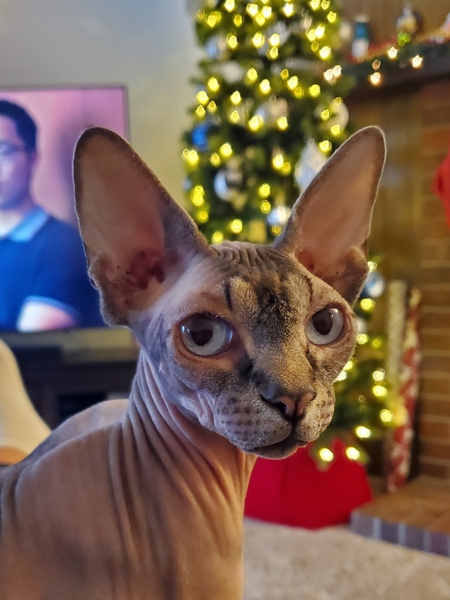 Entry image for Eerie. Clicking this image will show a larger photo