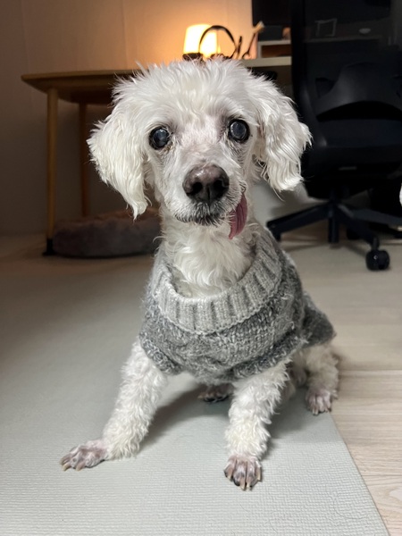 Entry image for Harry. Clicking this image will show a larger photo