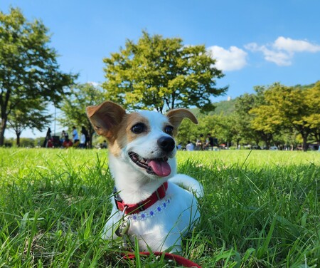 Entry image for Hallie. Clicking this image will show a larger photo