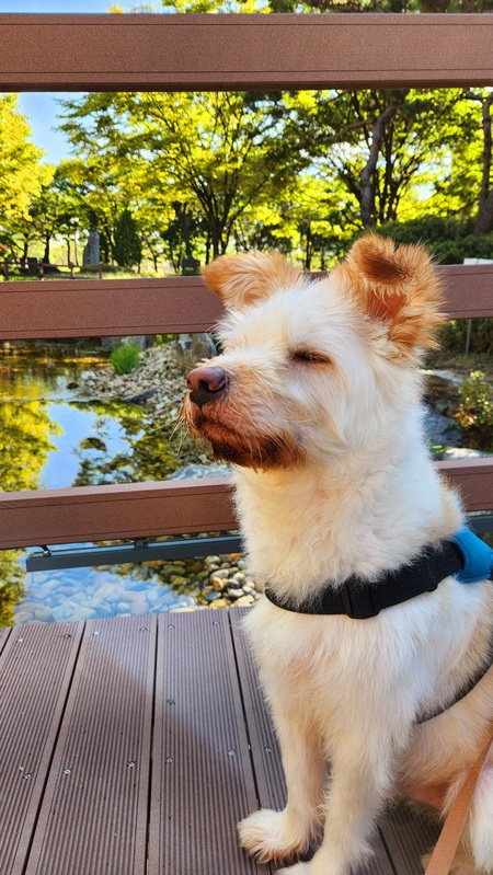 Entry image for Benjamin. Clicking this image will show a larger photo