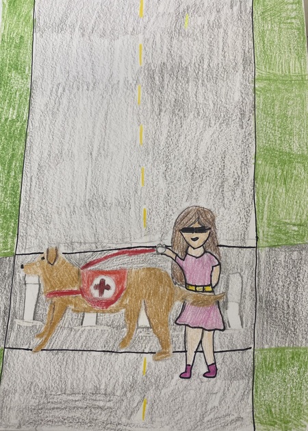 Blind Person Walking Dog