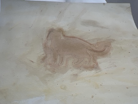 Cat outline