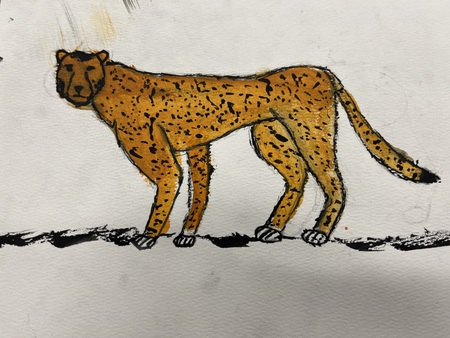 Cheetah