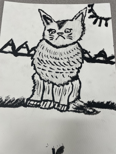 Black and white cat