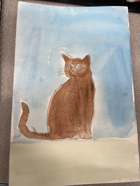 Brown cat