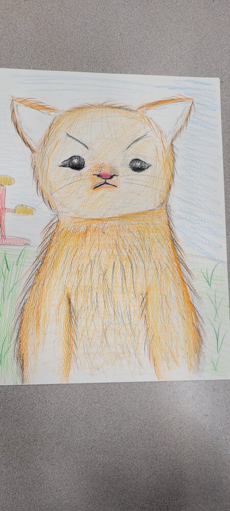 Angry cat
