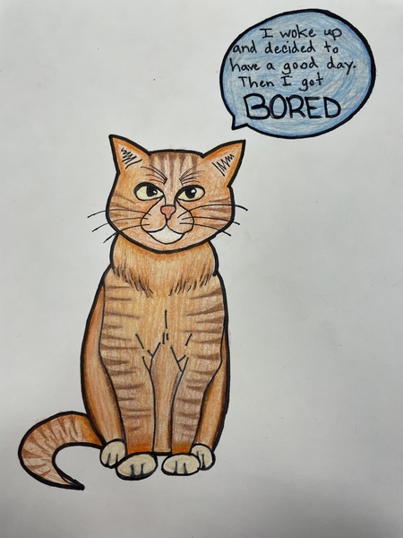 Bored cat