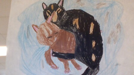 Entry image for Poor Cat On The Street. Clicking this image will show a larger photo
