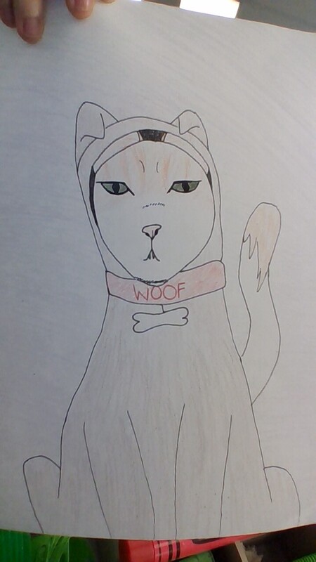 A Cat's Costume