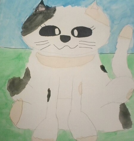 Calico Cat