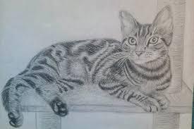 Beautiful kitty