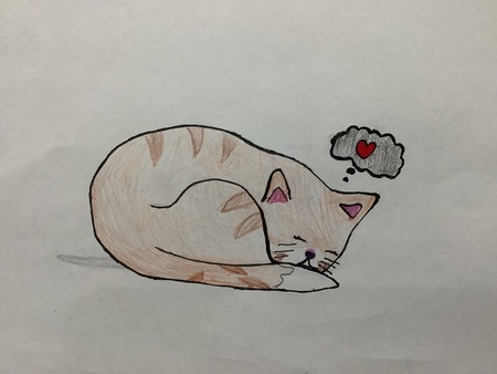 Sleeping Cat