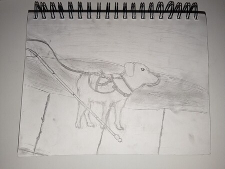 More than Just an Animal