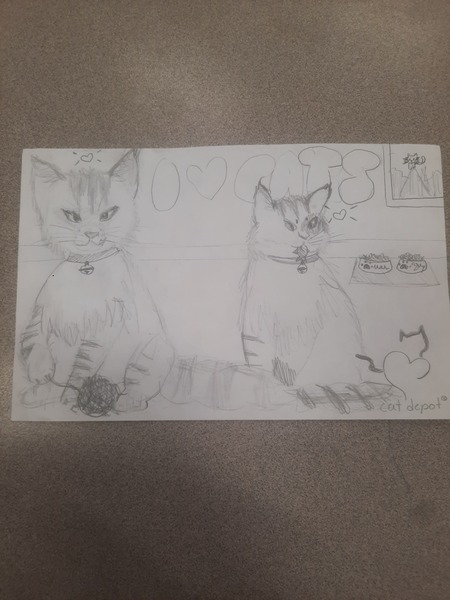 I <3 Cats