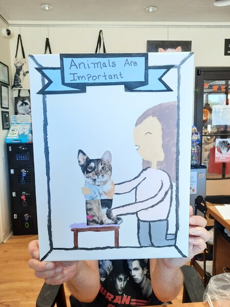 Animals are Important