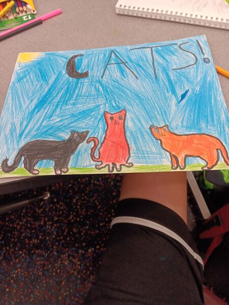 CATS!!