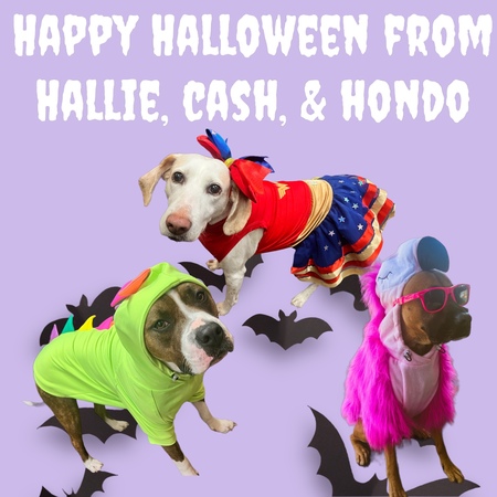 Hallie, Hondo, and Cash