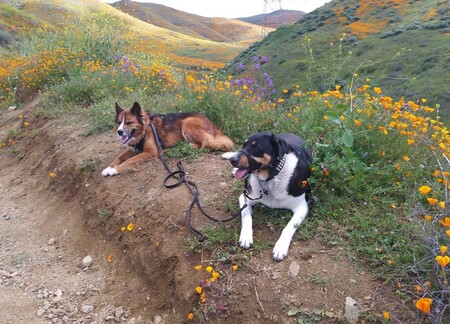Beau and Tavon