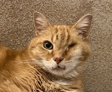 Malcolm