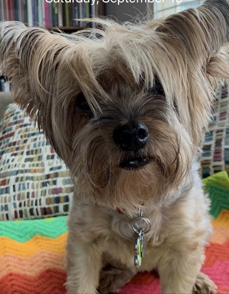 Chloe
