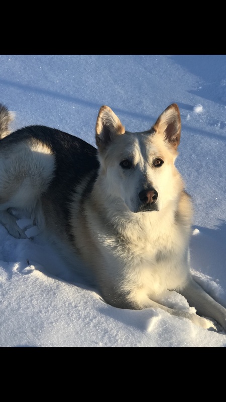 Dakota 