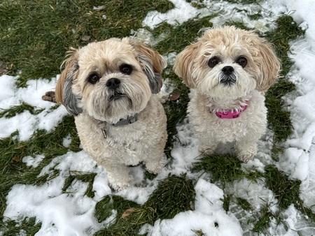 Obi and Lucy