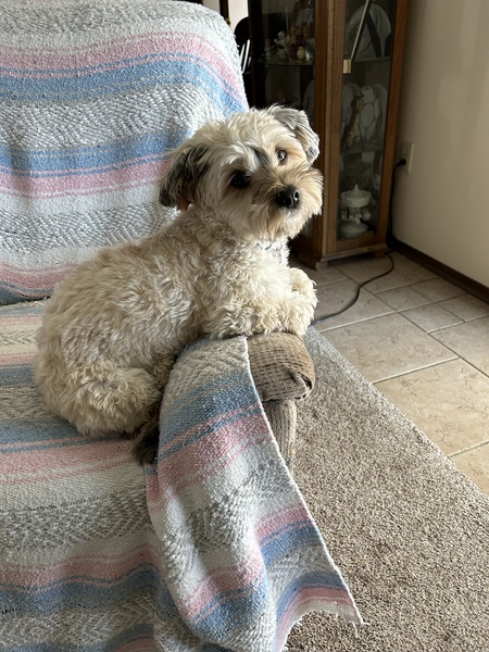 Sadie