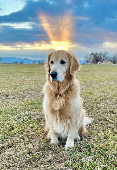 Odin