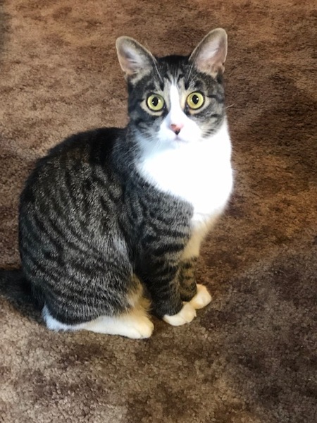 Sophie