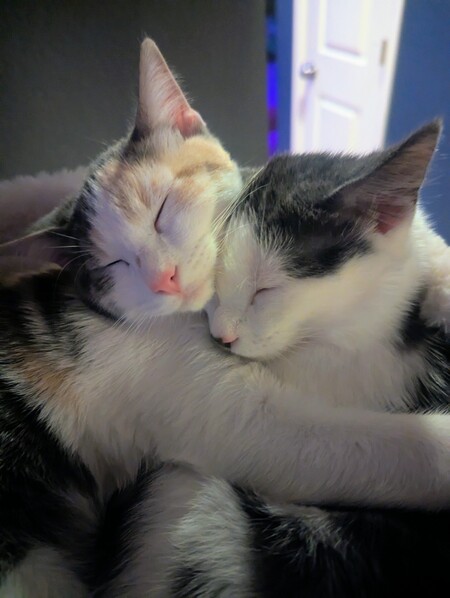 Aggie & Jasmine
