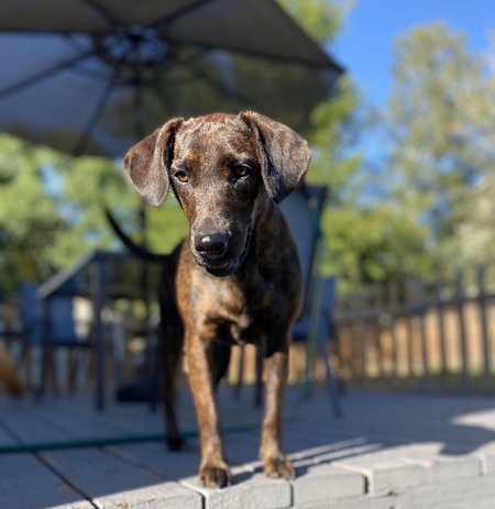 Penny