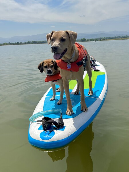 Remy and Bailey