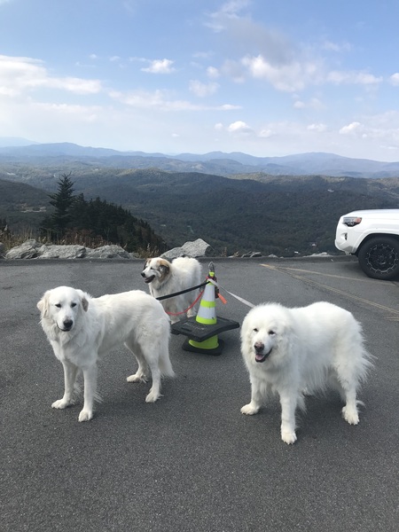 Kayla(left, Sally(middle), Snow(right)