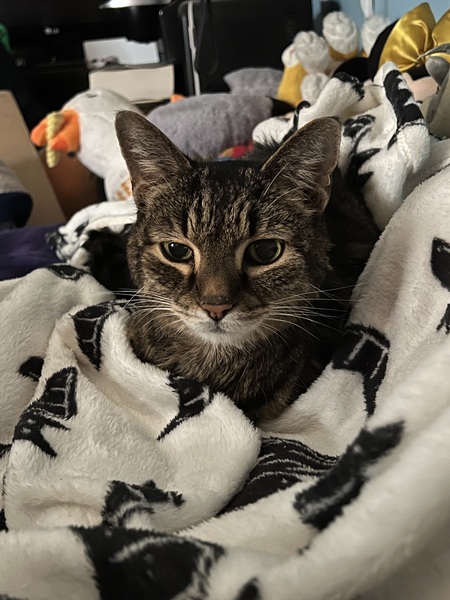 Peanut