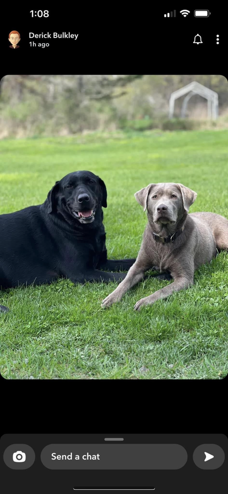 Gus & Ottie