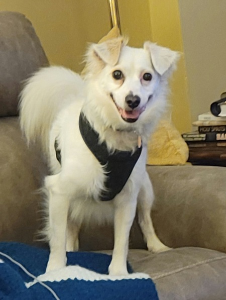 Bella