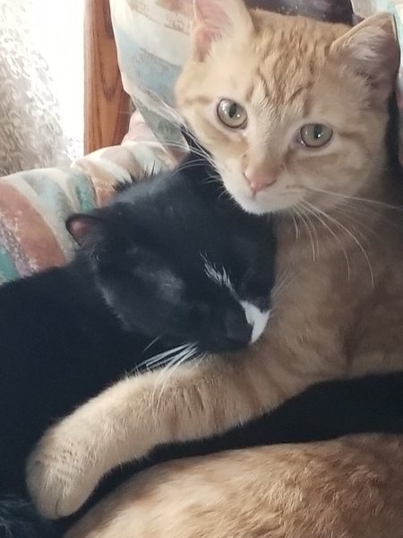 Gomer & Spartacus