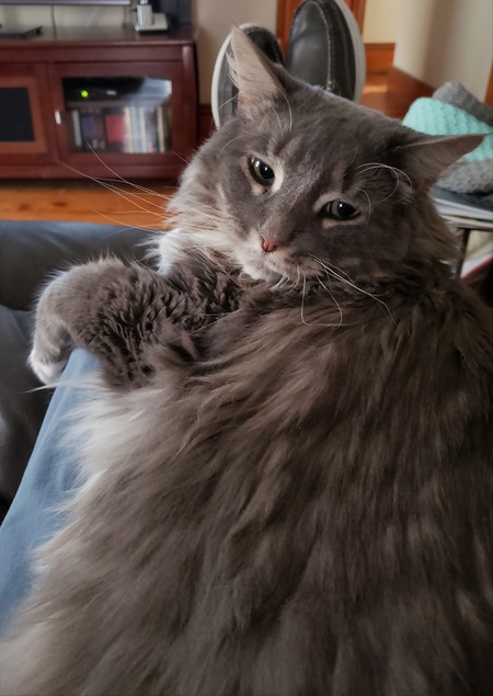 Julius