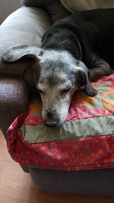 Monty