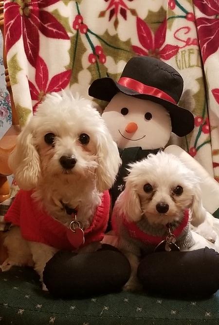 Tinker and Belle