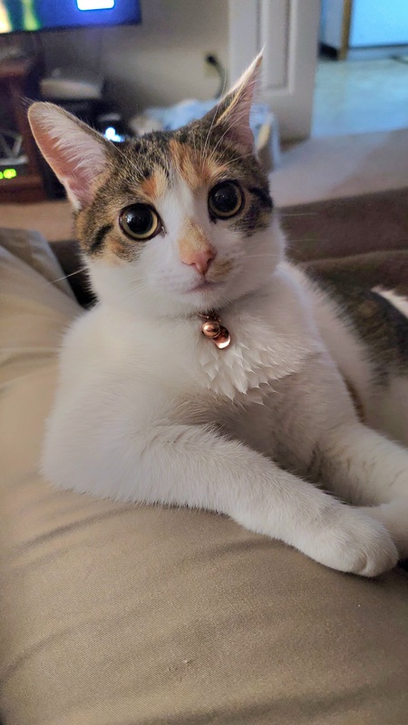 Lucy