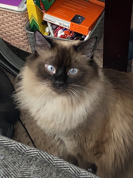 Sapphire