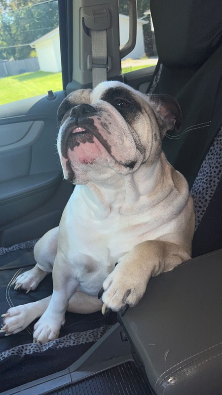 Winston