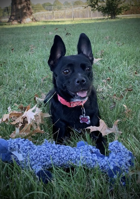 Ella