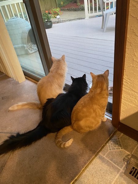 3 wise guys