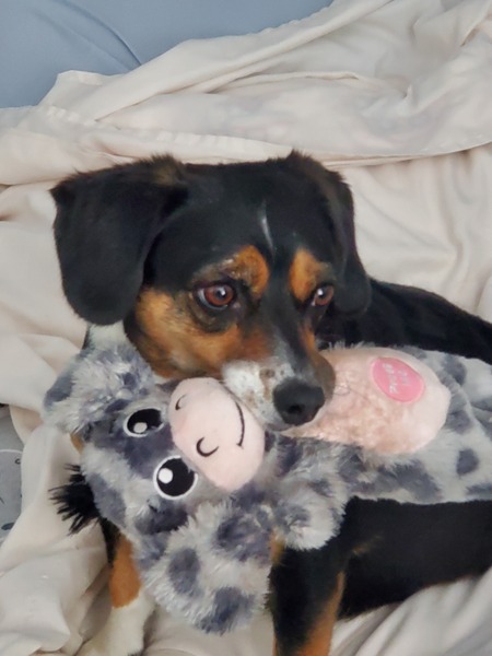 Rosie