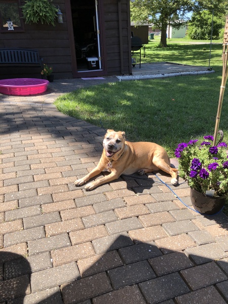 Baylee
