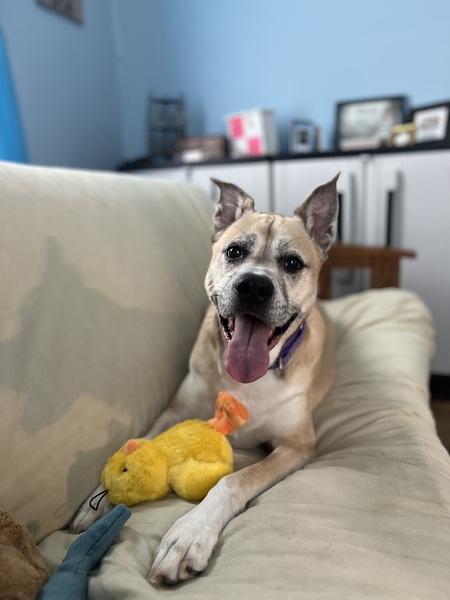 Iggy Mae