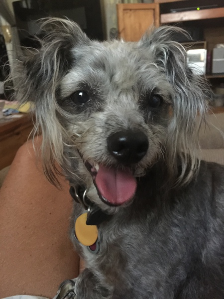 Libby