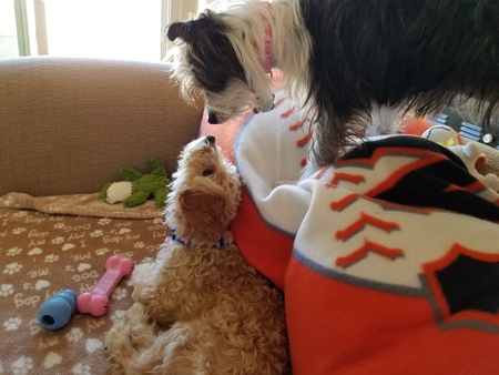 Maddie and Rusty